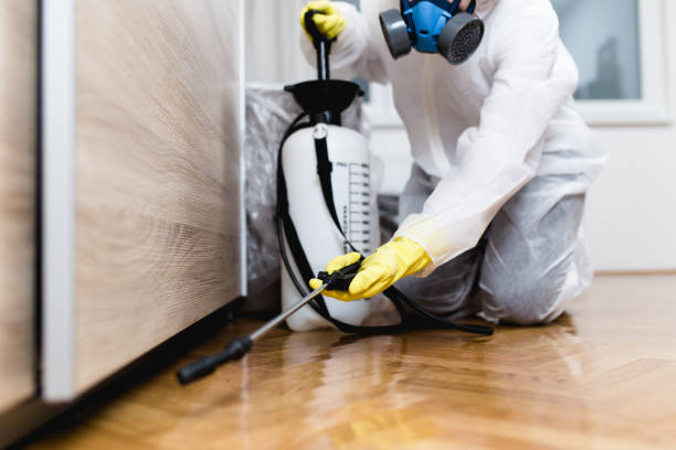 Best Pest Control for Businesses  in Frederick, CO