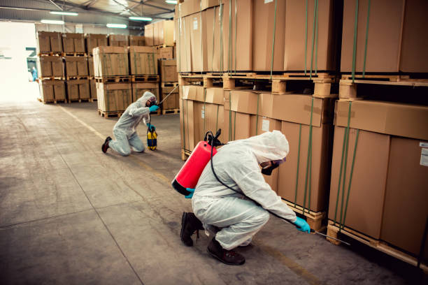 Best Local Pest Control Services  in Frederick, CO