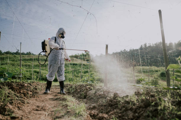 Best Mosquito Control Services  in Frederick, CO