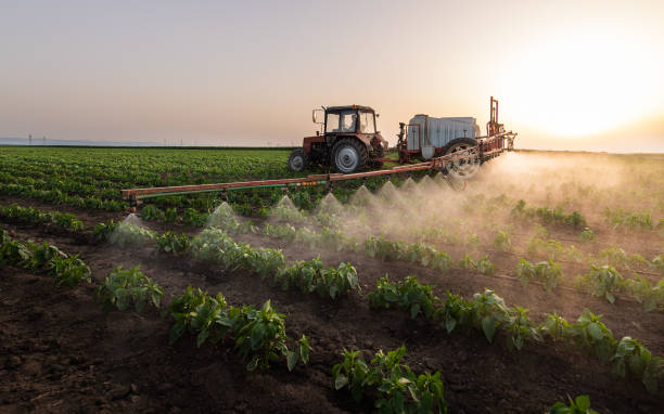Best Pest Removal Services  in Frederick, CO