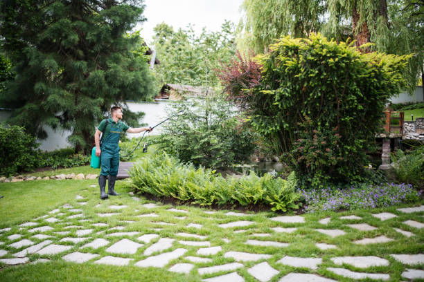 Best Ant Control Services  in Frederick, CO