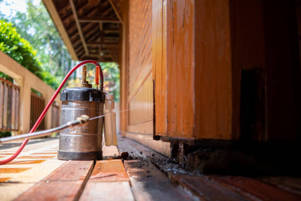 Best Ant Control Services  in Frederick, CO